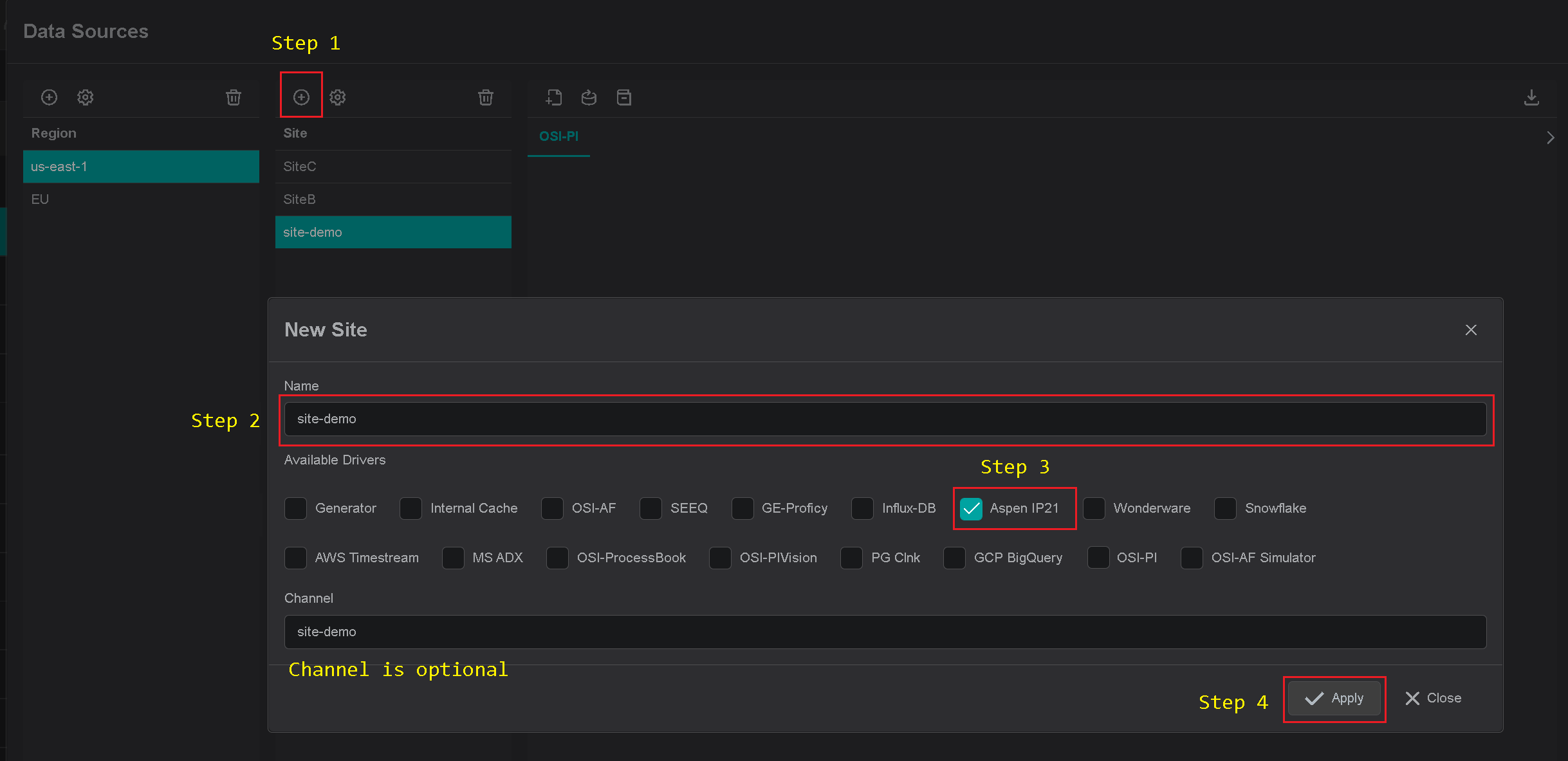 ds site
